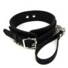 Bound to Please Silicone Collar and Lead Set - Image 3