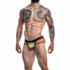 C4M Mixed Jockstrap Rainbow Large - Image 4