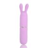 Nauti Petites 10 Speed Rabbit Ears Bullet Vibrator - Image 5
