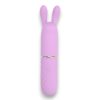 Nauti Petites 10 Speed Rabbit Ears Bullet Vibrator - Image 4