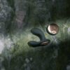 LELO Hugo 2 Remote Controlled Prostate Massager Black - Image 6