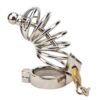 Impound Corkscrew Male Chastity Device with Penis Plug - Image 5