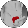 ElectraStim Silicone Fusion Viper Cock Shield - Image 6