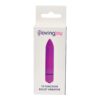 Loving Joy 10 Function Purple Bullet Vibrator - Image 5