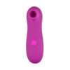 Loving Joy 10 Function Clitoral Suction Vibrator - Image 3