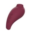 Adrien Lastic Inspiration Clitoral Suction Stimulator and Vibrating Egg - Image 3